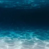 su altı fotoğrafı