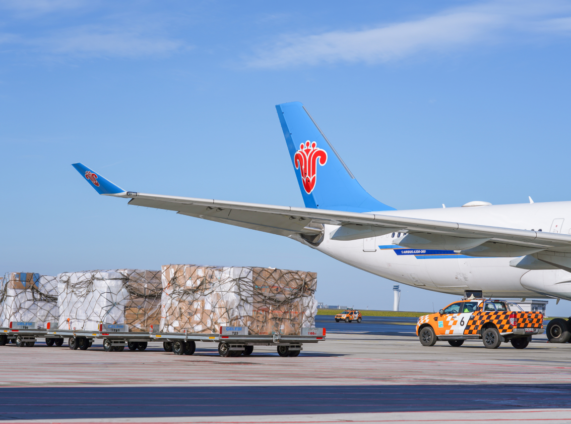 plant aircraft wing and back parts
