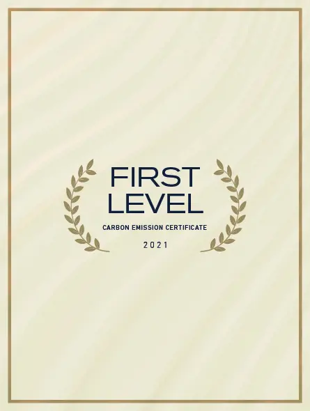 carbon emission certificate 2021