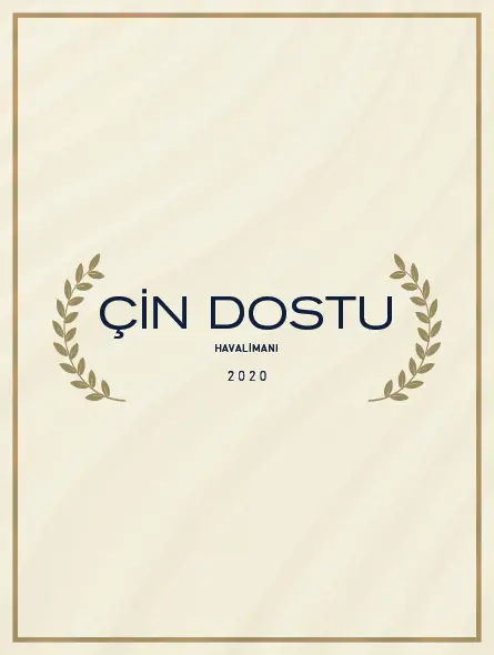 çin dostu havalimanı 2020