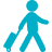 passenger logo